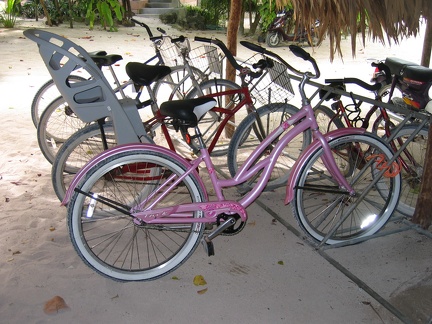 Amy s Pink Bike